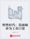 野性时代:我被确诊为工业巨佬