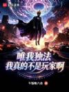 唯我独法:我真的不是玩家啊!
