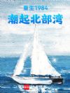 重生1984:潮起北部湾