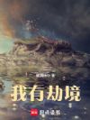 我有劫境