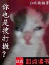 你也是搜打撤?