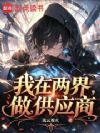 我在两界做供应商
