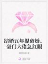 结婚五年提离婚,豪门大佬急红眼
