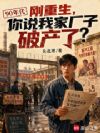 1990,从破产厂二代开始