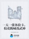 一天一张体验卡,校花跪喊我武神