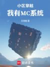С����Խ������MCϵͳ
