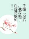 手撕二房后,我攻略了白莲花嫡姐
