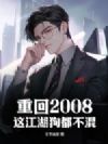 重回2008,这江湖狗都不混!
