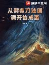 从劈柴刀法圆满开始成圣