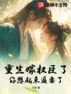 重生嫁权臣了,你想起来追妻了