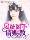 总统阁下,请赐教