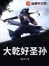 大乾好圣孙