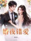 婚夜错爱