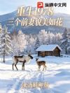 重生1978,三个前妻貌美如花