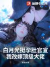 白月光挺孕肚官宣,我改嫁顶级大佬