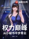 权力巅峰:从小秘书平步青云