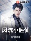 风流小医仙