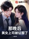 那晚后,美女上司被征服了