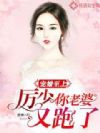 宠婚至上:厉少你老婆又跑了